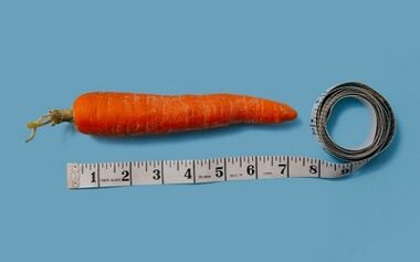 چگونه با رژیم 6 گلبرگ وزن کم کنیم؟